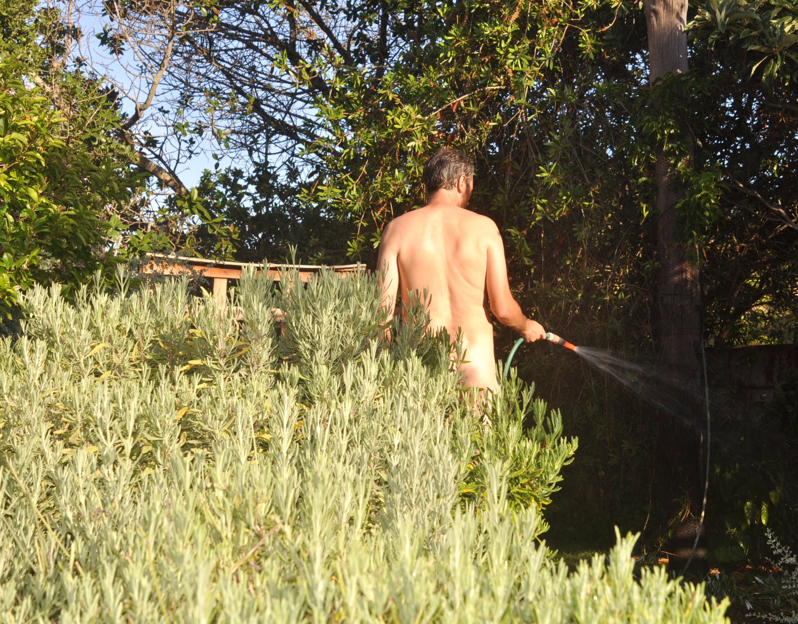 Nude in the garden